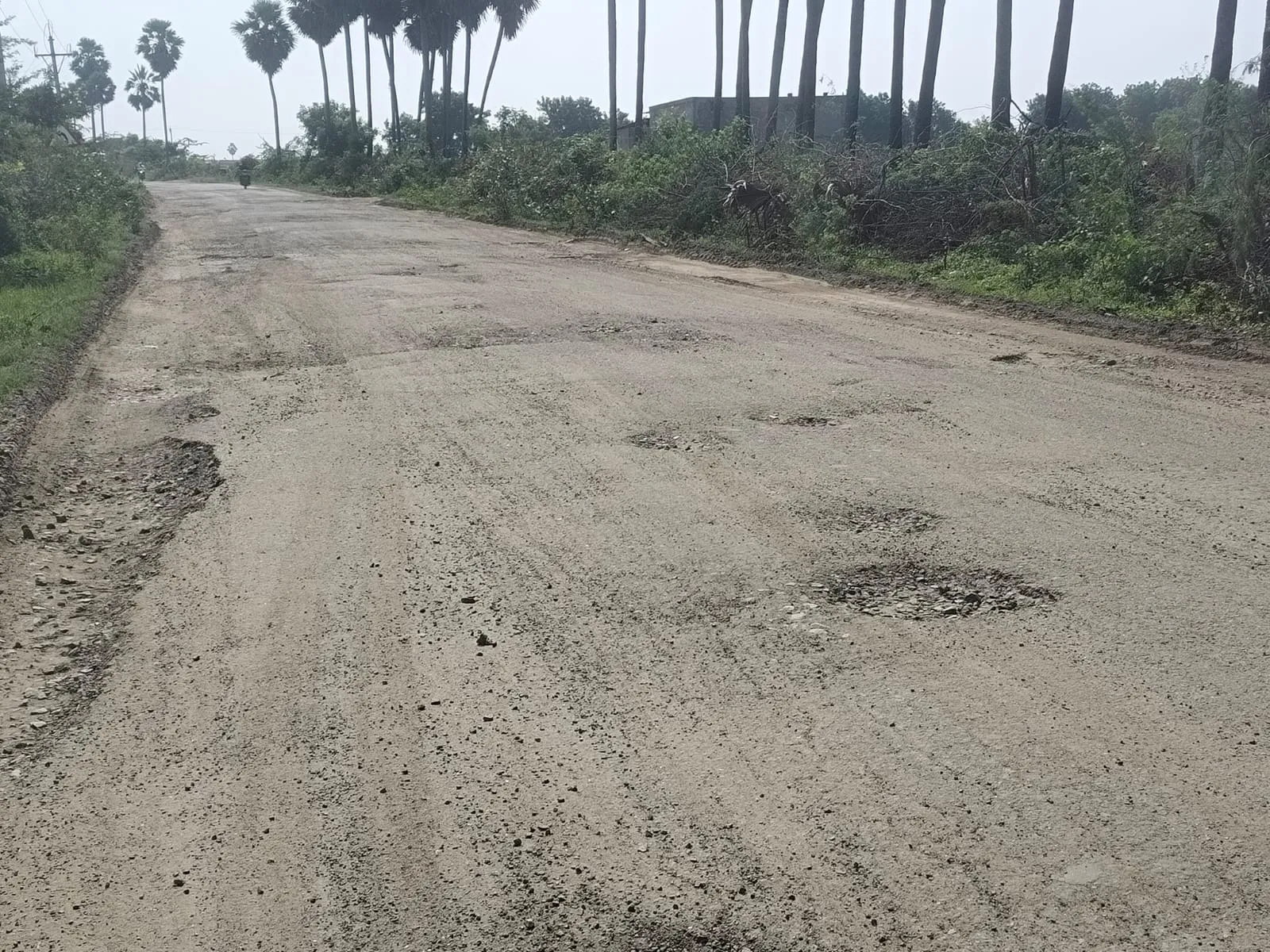 దారుణంగా రోడ్డులు.